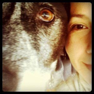 Meet your Posher, Josie